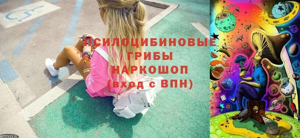 прущие крисы Арсеньев