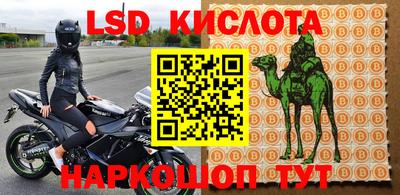 индика Кулебаки