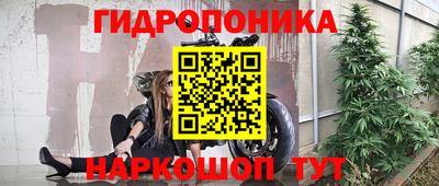 индика Кулебаки