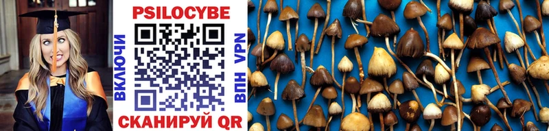 Галлюциногенные грибы Cubensis  купить наркотики сайты  Киров 